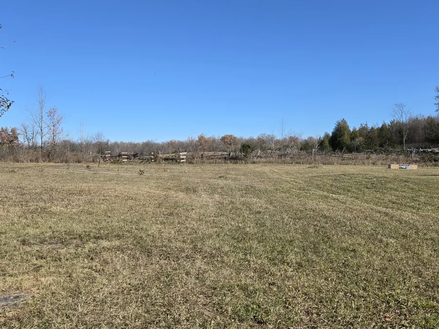 A wide mown field under a clear blue sky, bordered by trees
